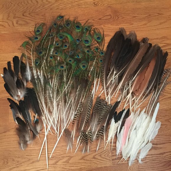 LOT 140 NATURAL PEACOCK BIRD FEATHER BOHO FESTIVAL CRAFT ART HOBBY COSTUME DECOR - Picture 3 of 16